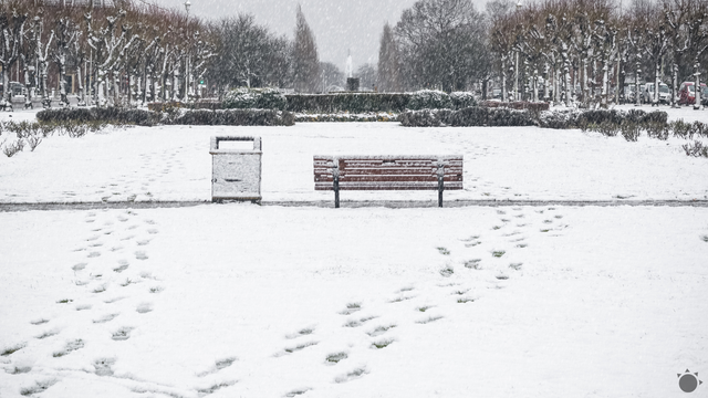 Sneženie je už tu. Zasiahne viaceré regióny, spôsobí problémy v doprave