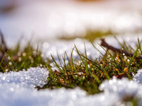 Sneh dostane zabrať. Smerujú k nám vlny dažďa a oteplenie naberie na sile