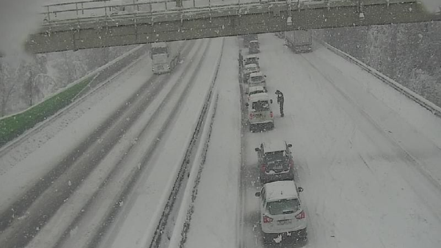 Sneženie si vyžiadalo uzavretie diaľníc, popadané stromy a výpadky elektriny