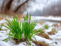 Dnes pomerne chladno, ale zajtra to príde. Teploty doslova vystrelia