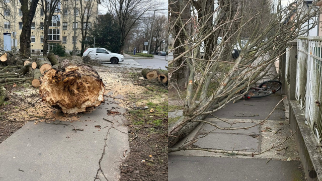 Silný vietor naberá na sile. V Maďarsku meškajú vlaky a obyvatelia sú bez prúdu