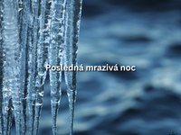 Posledná mrazivá noc je pred nami. Za rohom už je prudké oteplenie