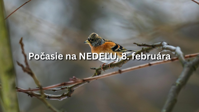 Predpoveď počasia na nedeľu, 8. februára: Oteplenie končí, prichádza zima