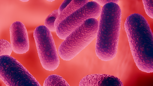 Európski odborníci varujú: Antibiotiká prestali zaberať, tieto baktérie majú zelenú