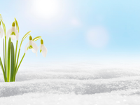 Tento týždeň dorazí teplý font. V našej oblasti teploty stúpnu až na +15 °C