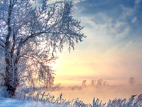 Bolo vám v januári chladno? Takto dopadol mesiac podľa meteorológov