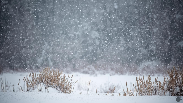 Teplé počasie na Slovensku vrcholí, zajtra príde zmena