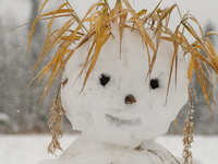 Teploty na Slovensku stúpajú vysoko k +14 °C. Cez víkend nás opäť čaká teplotný šok