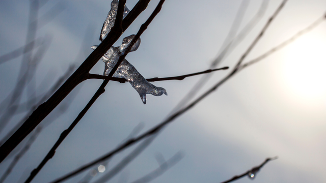Na Slovensku bude tak teplo, že končia aj nočné mrazy. Koľko nocí mrznúť vôbec nebude?