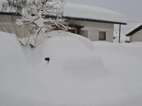 Jedna snehová kalamita na Slovensku za druhou. Táto zima bola ešte horšia ako aktuálna