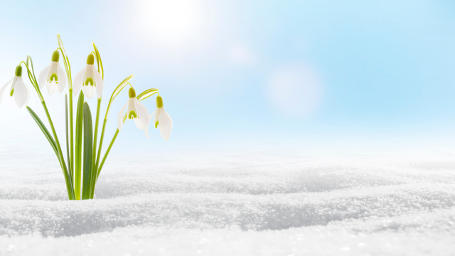 Tento týždeň dorazí teplý font. V našej oblasti teploty stúpnu až na +15 °C