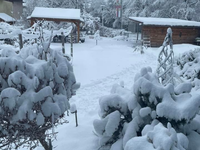 Snehová kalamita hneď za našimi bránami. Napadlo už 20 cm, spadne ďalších 10 cm. Pozrite si FOTO