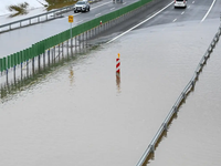 Roztopený sneh zaplavuje pozemky, no prírode pomáha. Čo je najlepšie pre prírodu?