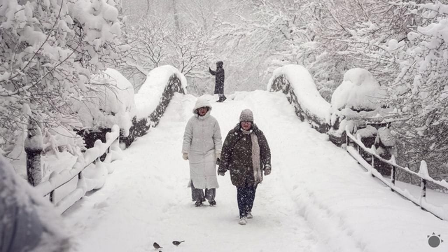 Sneženie paralyzovalo severovýchod USA. Slávne miesta New Yorku zmizli pod bielou prikrývkou