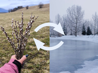 Máme zlé správy. Príroda sa zobúdza, ale počasie má úplne iné plány, ktoré jej môžu ublížiť