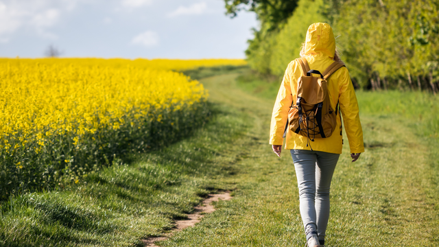 A teraz sa aj zapotíme! Teploty na Slovensku vyletia nahor