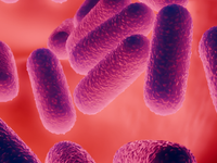 Európski odborníci varujú: Antibiotiká prestali zaberať, tieto baktérie majú zelenú