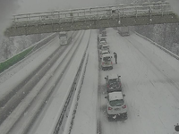 Sneženie si vyžiadalo uzavretie diaľníc, popadané stromy a výpadky elektriny