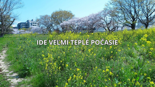 Do Európy mieri veľmi teplé počasie. Teploty v našej oblasti atakujú až +20 °C