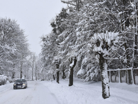 Aj Poľsko zasiahne vlna sneženia: Miestami môže pribudnúť viac ako 20 cm nového snehu