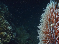 Ľudstvo odhalilo nový zdroj energie. Môže to byť veľké