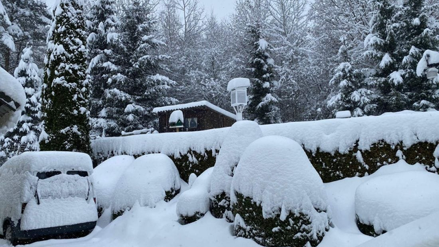 Kalamita bola rozsiahla. Spadlo najviac snehu za posledných 20 rokov