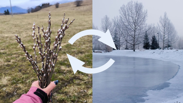 Máme zlé správy. Príroda sa zobúdza, ale počasie má úplne iné plány, ktoré jej môžu ublížiť