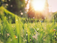 Anticyklóna priniesla nezvyčajné februárové teplo: Teploty vystúpili nad +20 °C