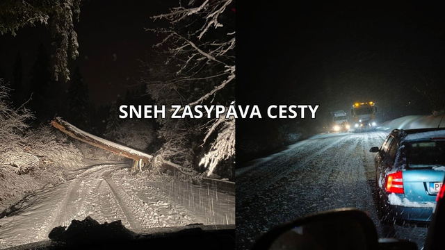 Kalamita sa vrátila. Padajú stromy, sneh uzatvára cesty, napadlo viac ako 40 cm snehu
