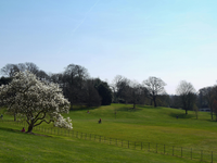 Jar je v plnom prúde. Teploty dnes vystrelia poriadne vysoko