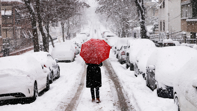 Zima 2026 bola zvláštna: Bola rekordne teplá aj napriek krutým mrazom