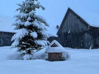 FOTO: Neuveriteľné ráno na Slovensku: Cez noc nasnežilo 25 cm nového snehu