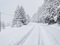 FOTOGALÉRIA: Slovensko pod snehom. Toto sú posledné rozprávkové fotky tejto zimy
