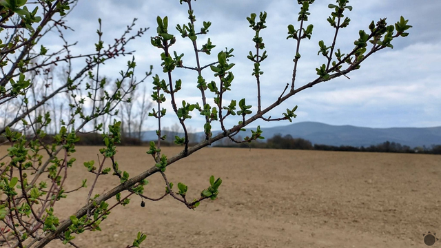 Nový rekord: Takéto počasie sme na Slovensku nemali 65 rokov