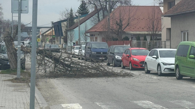 Vietor na Slovensku láme stromy. Fúkať bude naďalej
