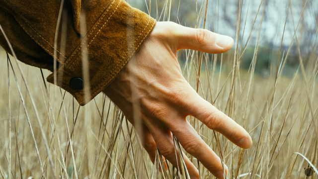 Kliešte sú už teraz veľmi aktívne. Odborníci nabádajú k očkovaniu
