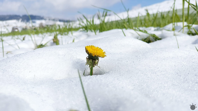 Slovensko TERAZ čaká ochladenie, zrážky a niekde príde aj sneh