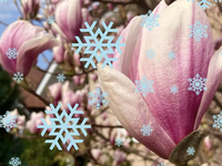 Prvý jarný víkend prinesie na Slovensko snehové vločky