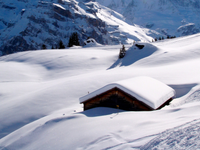 Počasie je divoké: Vyskytujú sa snehové búrky, napadne viac ako 70 cm snehu