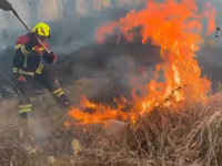 Hasiči bojovali s požiarom lesného porastu. Varujú pred nebezpečím vypaľovania tráv a porastov