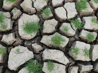 Sneh aj dážď pomohli: Sucho na Slovensku sa zmiernilo