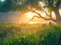 Jarná rovnodennosť tento rok nezačne 21. marca, ale skôr. Prečo je tomu tak?