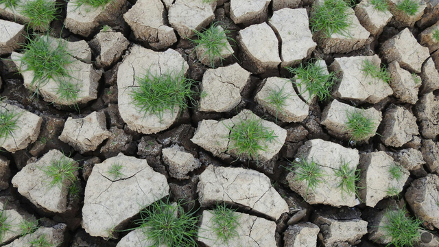 Sneh aj dážď pomohli: Sucho na Slovensku sa zmiernilo