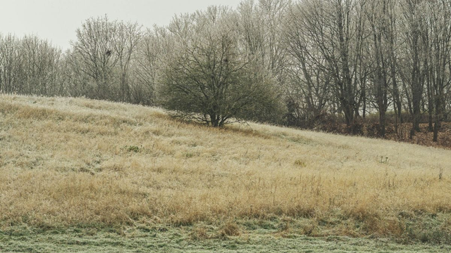 Nebojte sa: Zima sa síce vrátila, ale mrazy úrodu nezničia