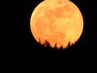 Foto: Slováci pozorovali fascinujúci „ČERVÍ“ Mesiac