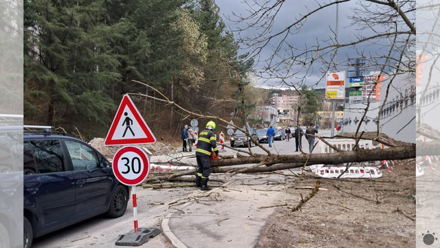 Slovenskom sa ženie silný vietor, láme stromy a spôsobuje škody