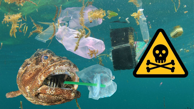 Nechutná a obrovská skládka odpadkov v mori je už 30x väčšia ako Slovensko