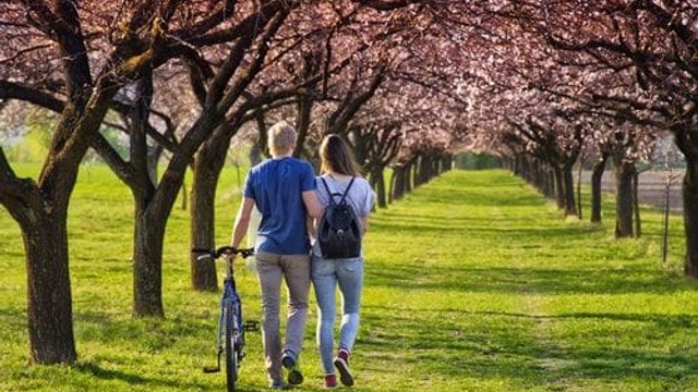 Odborníci varujú: Teplé počasie prináša skryté nebezpečenstvo