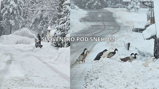FOTO: Slovensko zasypal sneh. Pozri si rozprávkovo zimnú krajinu, kde napadlo až 40 cm