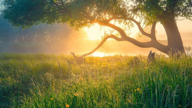 Jarná rovnodennosť tento rok nezačne 21. marca, ale skôr. Prečo je tomu tak?